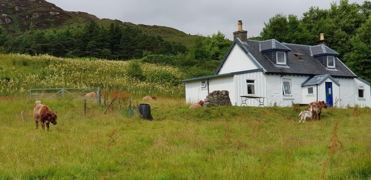 Isle Of Carna, Secluded Scottish Island, Loch Sunart Villa Acharacle Exterior foto